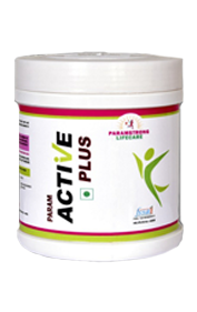 Param Active Plus