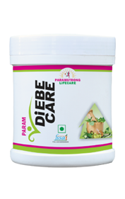 Param Diebe Care